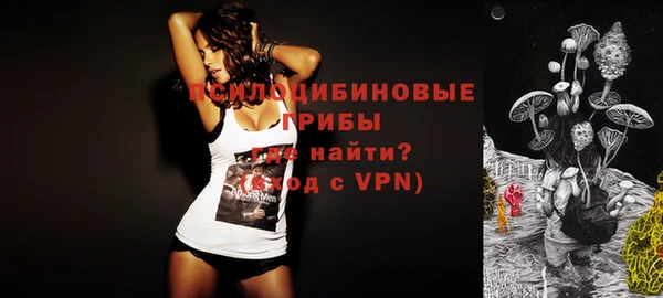 гидропоника Козловка